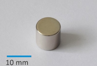 N35 D10x10 mm, Ni