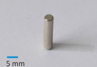 N35 D3x15 mm Ni