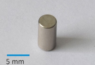 N35 D4x8 mm Ni