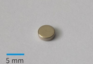 N35 D5x1,5 mm Ni