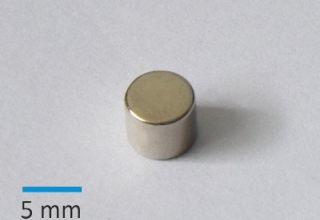 N35 D6x5 mm Ni