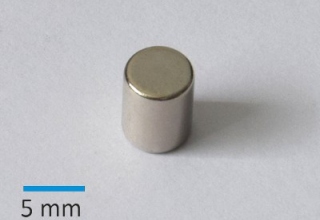 N35 D6x7,5 mm Ni