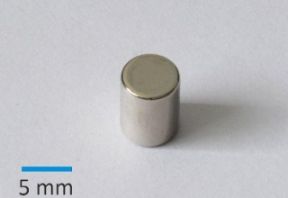 N35 D6x8 mm Ni