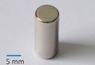 N35 D8x20 mm Ni