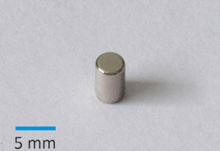 N42 D2,5x4 mm Ni